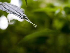 回购增持与贷新消息，市场动态与投资策略深度解析