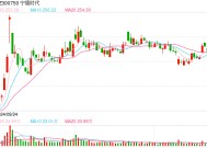 宁德时代递表港交所：为公司长期国际化战略提供资金支持