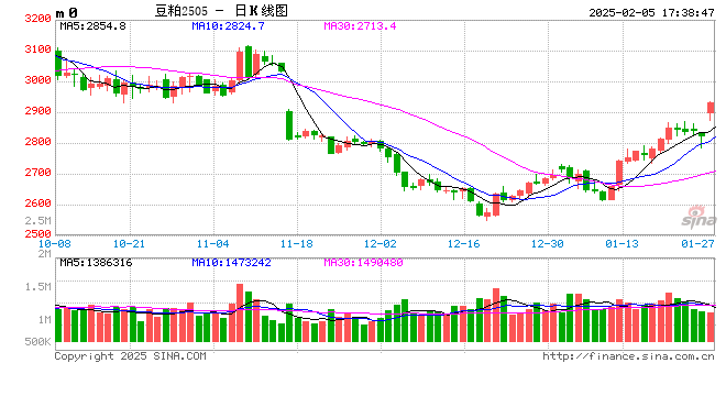 光大期货0205热点追踪：豆粕节后大涨，还能追吗？